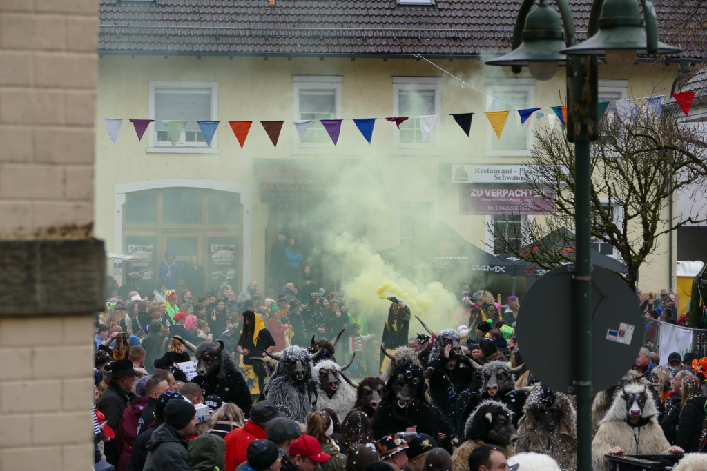 Eindrcke vom Umzug des 57. VHN-Narrentreffens in flingen