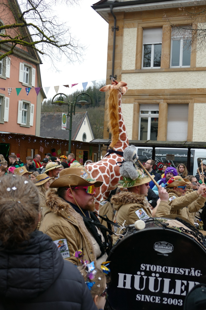 Eindrcke vom Umzug des 57. VHN-Narrentreffens in flingen