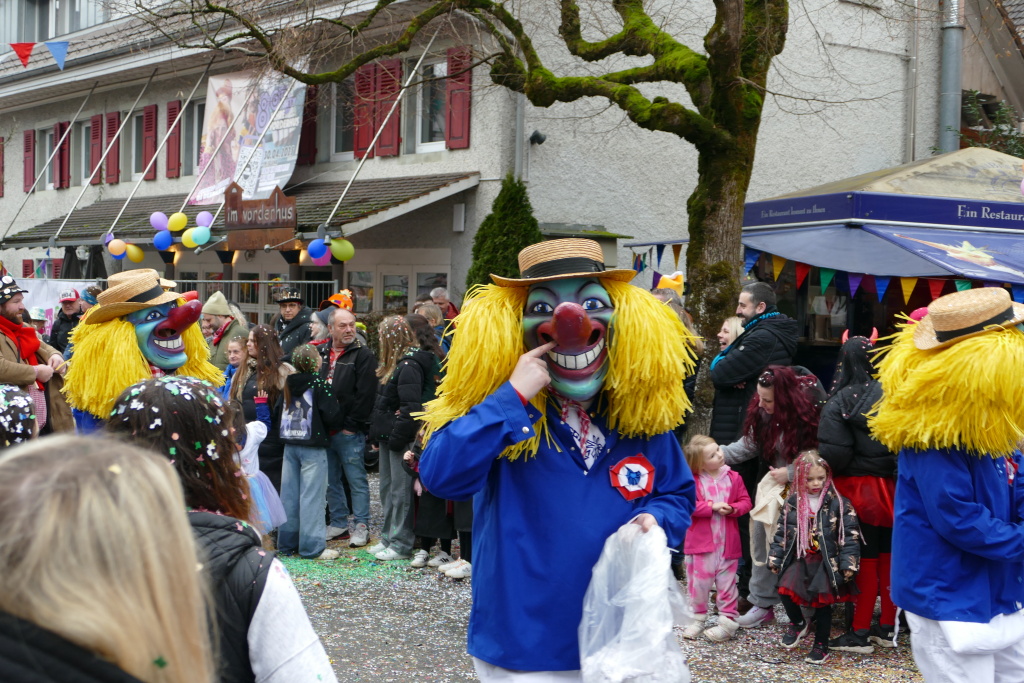 Eindrcke vom Umzug des 57. VHN-Narrentreffens in flingen