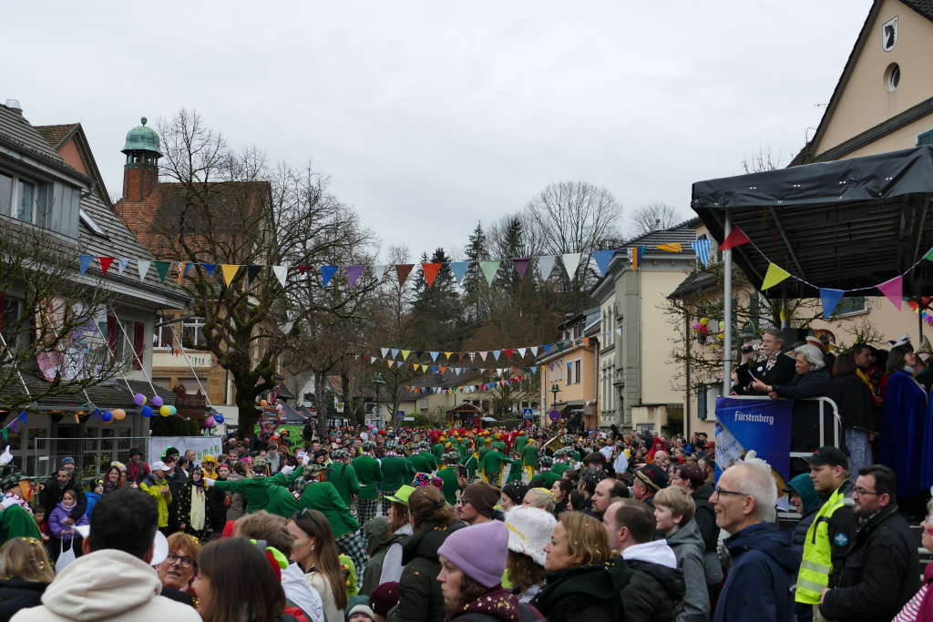 Eindrcke vom Umzug des 57. VHN-Narrentreffens in flingen