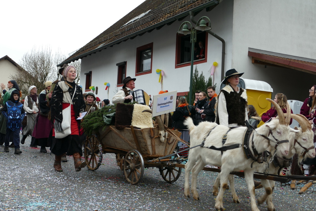 Eindrcke vom Umzug des 57. VHN-Narrentreffens in flingen