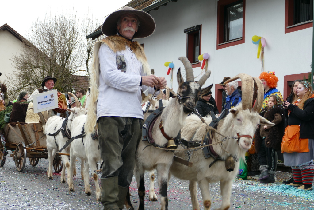 Eindrcke vom Umzug des 57. VHN-Narrentreffens in flingen