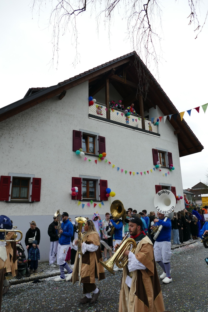 Eindrcke vom Umzug des 57. VHN-Narrentreffens in flingen