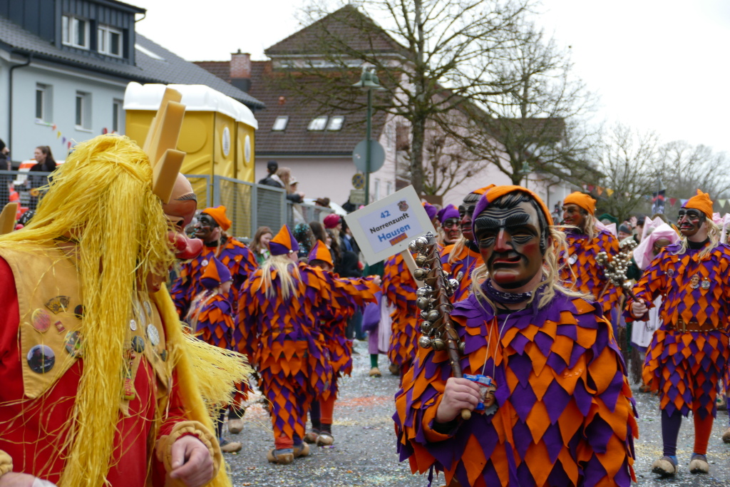 Eindrcke vom Umzug des 57. VHN-Narrentreffens in flingen