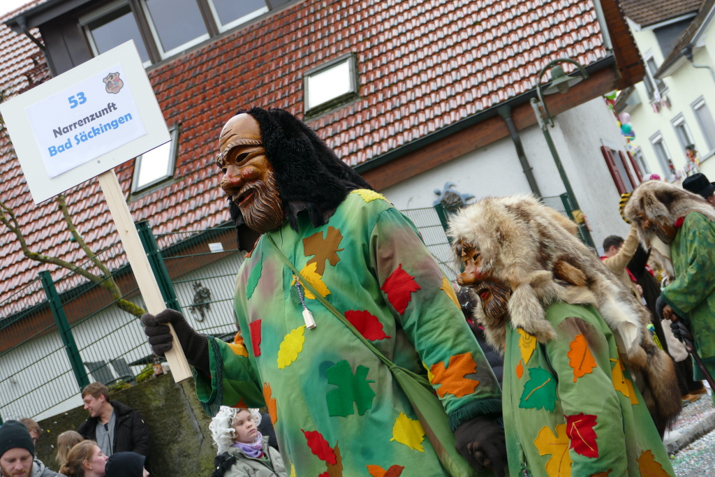 Eindrcke vom Umzug des 57. VHN-Narrentreffens in flingen