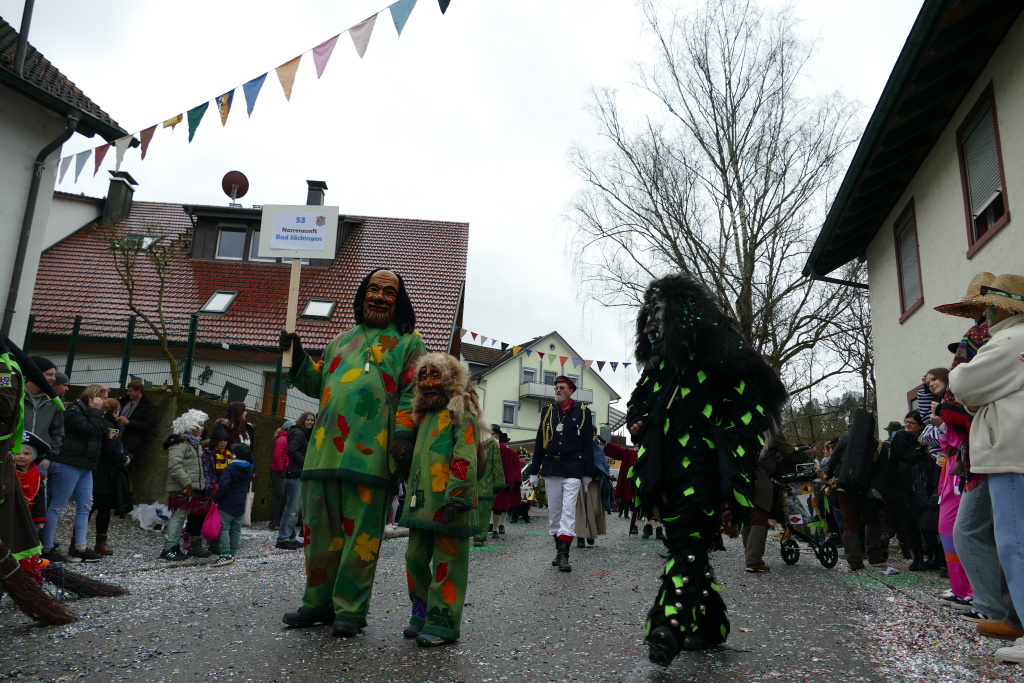 Eindrcke vom Umzug des 57. VHN-Narrentreffens in flingen