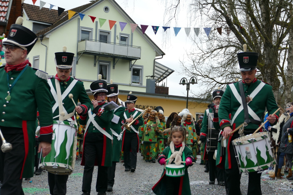 Eindrcke vom Umzug des 57. VHN-Narrentreffens in flingen