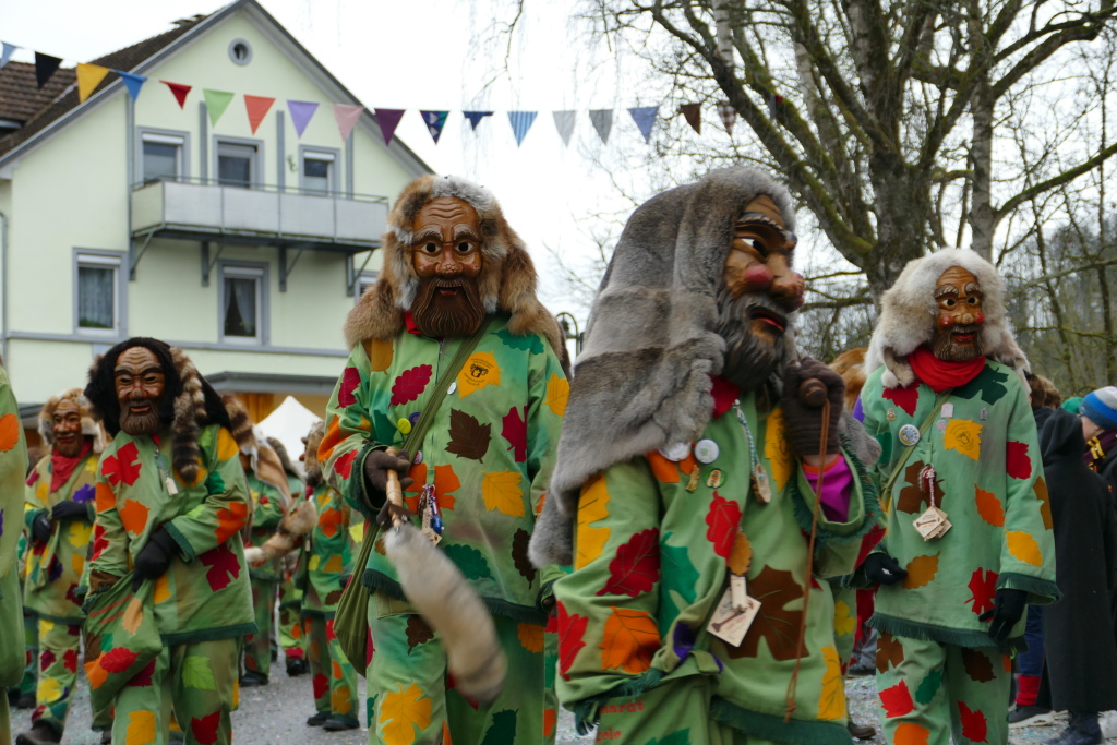 Eindrcke vom Umzug des 57. VHN-Narrentreffens in flingen