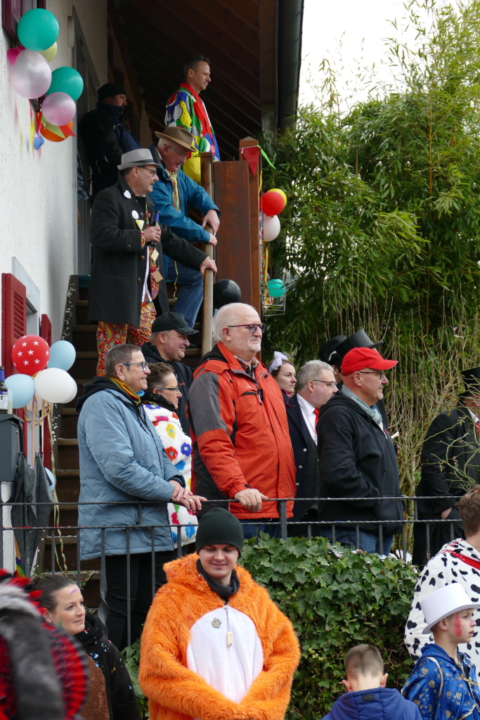 Eindrcke vom Umzug des 57. VHN-Narrentreffens in flingen