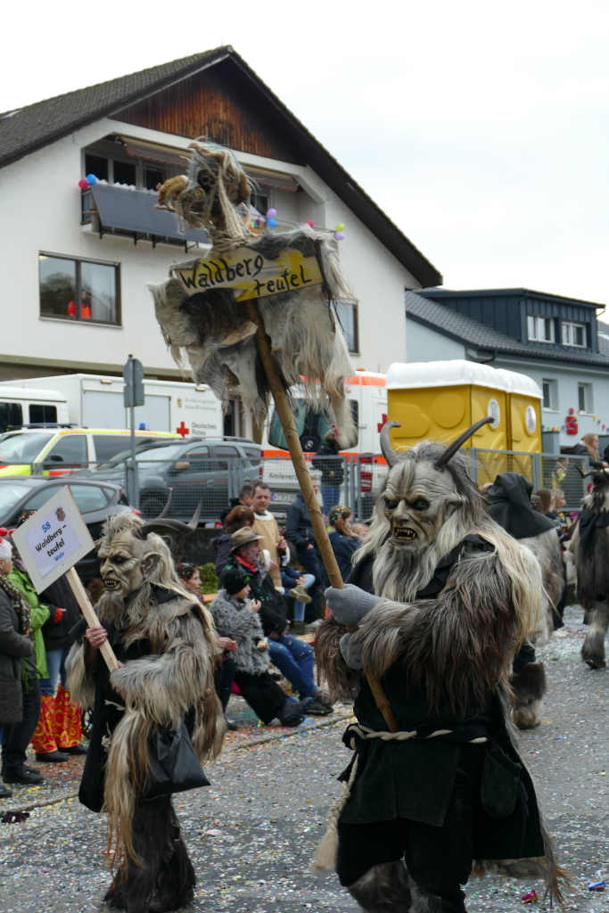 Eindrcke vom Umzug des 57. VHN-Narrentreffens in flingen