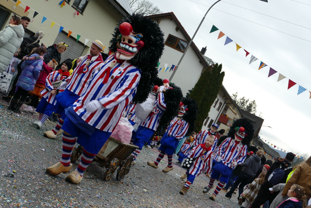 Eindrcke vom Umzug des 57. VHN-Narrentreffens in flingen