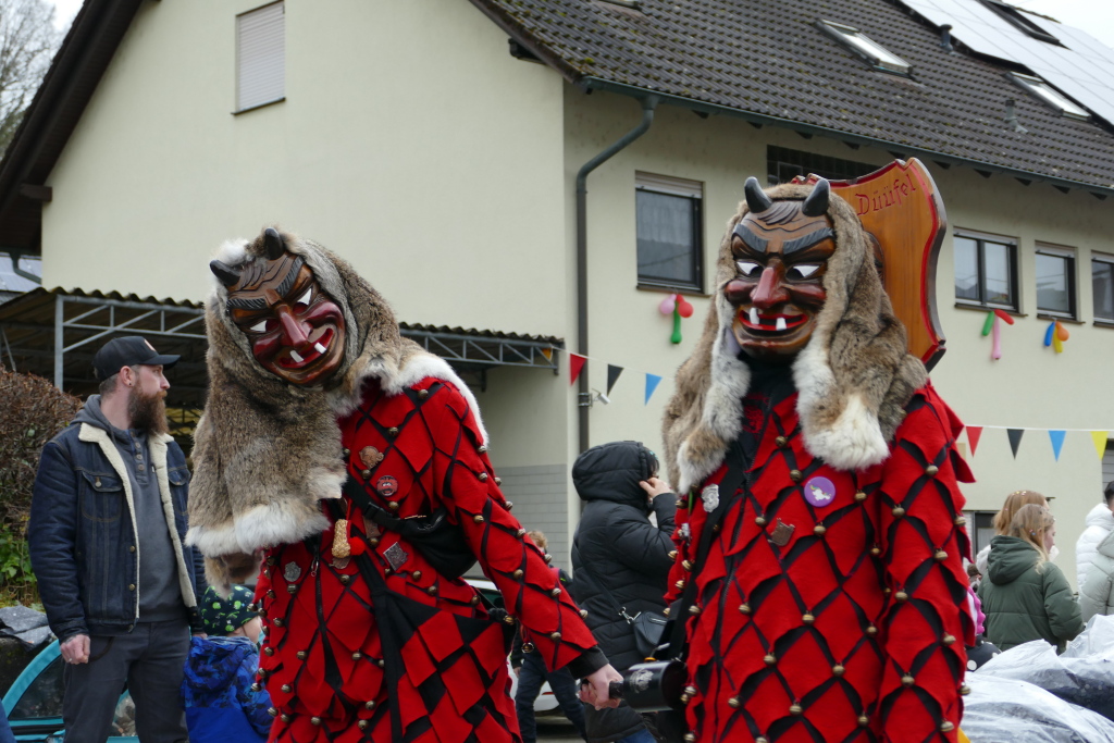 Eindrcke vom Umzug des 57. VHN-Narrentreffens in flingen