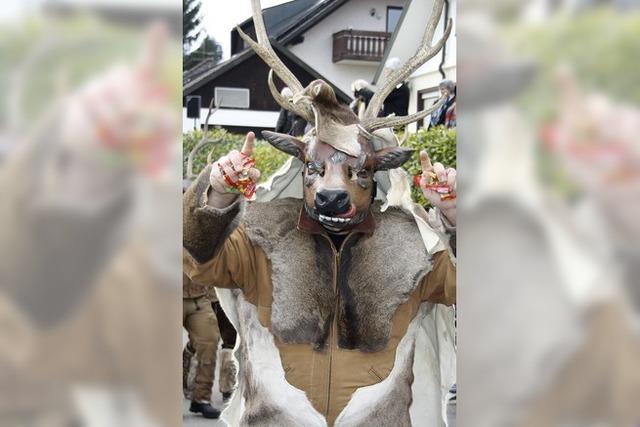 Buntes Fasnachtstreiben in Herrischried