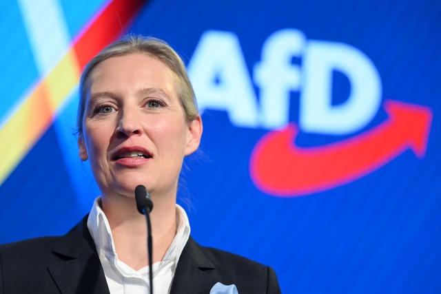 Die AfD-Chefin war als Direktkandidatin im Bodenseekreis angetreten.  | Foto: S&ouml;ren Stache/dpa-Pool/dpa