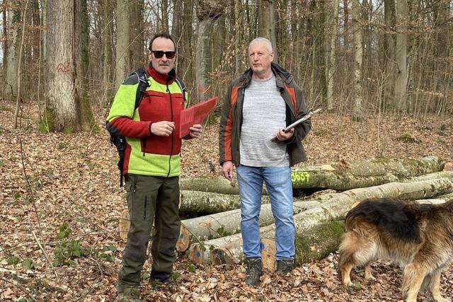 Schallbacher Holzversteigerung kommt gut an