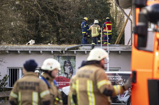 Das Feuer war am Neujahrsmorgen im Tierheim in Freiburg-Lehen entdeckt worden.  | Foto: Maximo-Hans Musielik