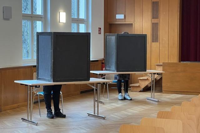 Bundestagswahl im Hochschwarzwald: So erfolgreich waren die Kleinstparteien