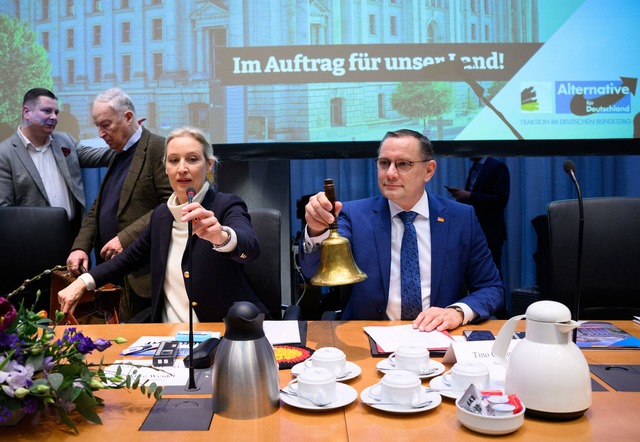 Die Fraktionschefs Alice Weidel und Ti...ktionssitzung nach der Bundestagswahl.  | Foto: Bernd von Jutrczenka/dpa