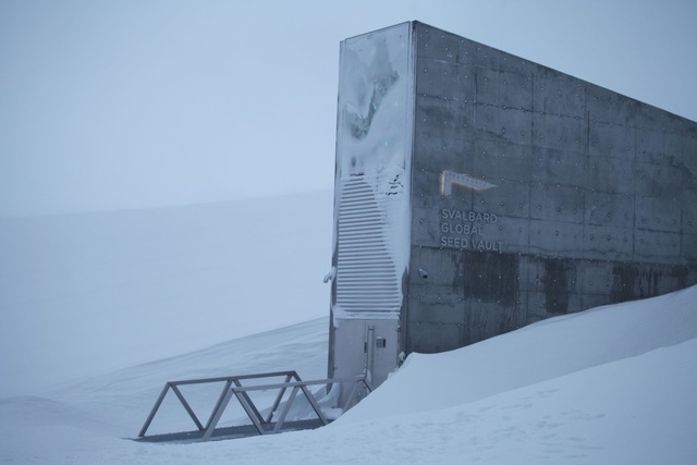 Eine schwere Stahlt&uuml;r f&uuml;hrt ...s schneebedeckten Berges. (Archivbild)  | Foto: Steffen Trumpf/dpa