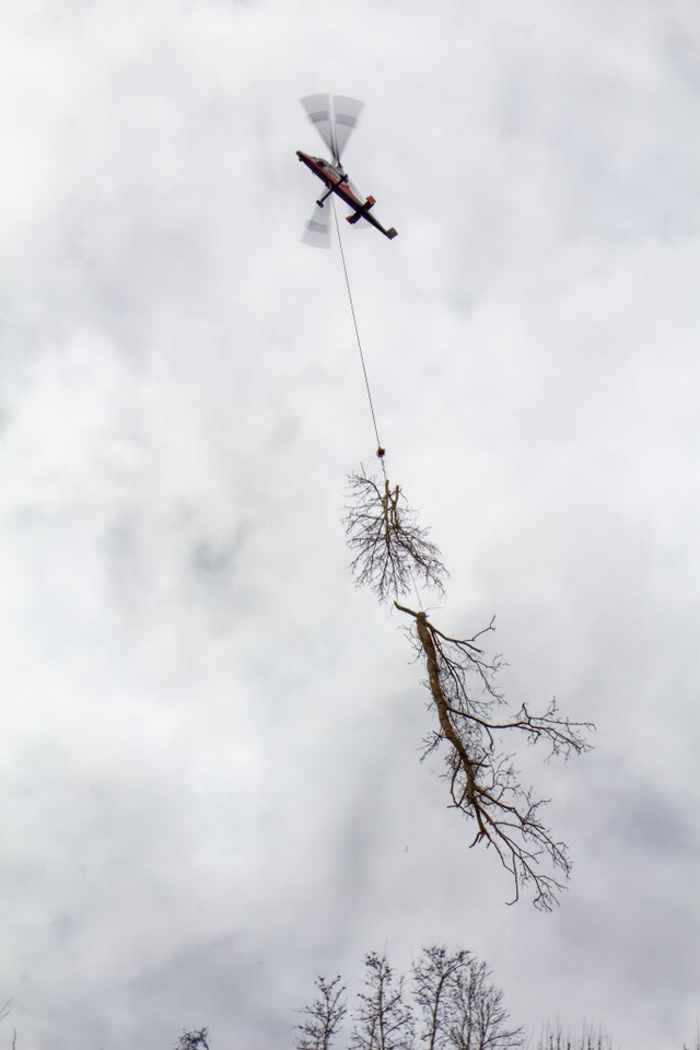 Ein Lastenhubschrauber des Schweizer S...ag im Einsatz am Riegeler Michaelsberg  | Foto: Ruth Seitz