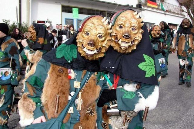 Fasnacht 2025: Zum Jubilumsumzug kommen 50 Znfte und Cliquen nach Malsburg-Marzell