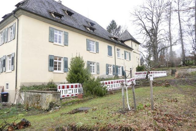 Warum wurden im Staufener Schlossgarten Bume gefllt?