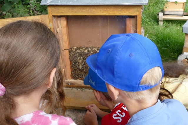 Auch Kinder interessieren sich fr die... Imkervereins und seine vielen Bienen.  | Foto: Florian Schmieder