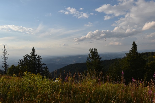 Fr Gebte ist der Zweitlersteig das ...er der entspannte Ausblick vom Kandel.  | Foto: Silke Kohlmann