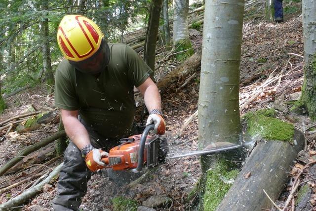 Kettensgendieb in Rickenbach gesucht