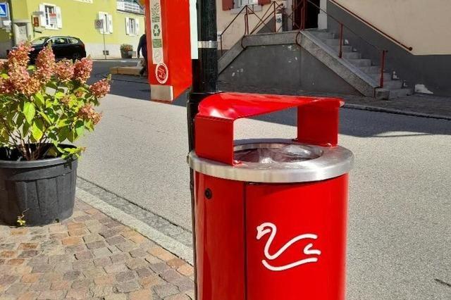 Brgerin beschwert sich im Zeller Gemeinderat: "Die Stadt sieht aus wie Sau"