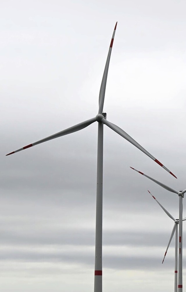 Bis sich bei Bad Bellingen Windrder drehen knnten, dauert es noch.  | Foto: Bernd Weibrod (dpa)