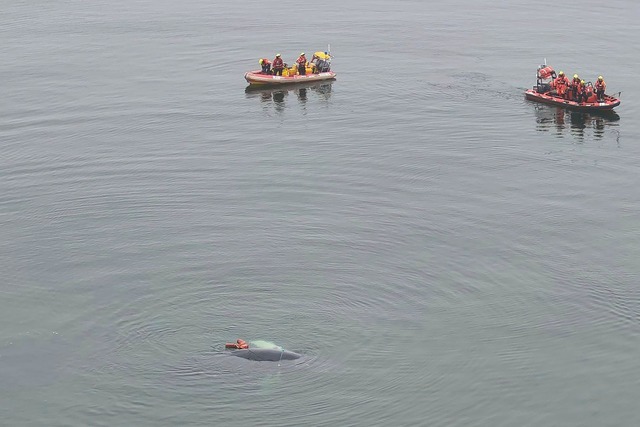 Die Helfer konnten den Buckelwal befreien.  | Foto: Maritime Search and Rescue Service/AP/dpa