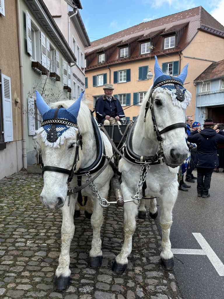 Originell, witzig, charmant: Staufens Schelmenzunft hat sich beim Rathaussturm mal wieder selbst bertroffen, den Brgermeister mit der Gondel vom Hof gejagt und fr ein volles Stdtli gesorgt.