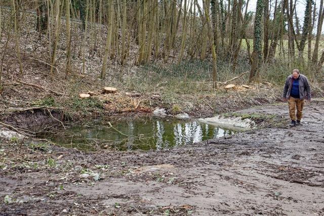 Im Weiher im Endinger Erletal sind kaum noch Krten anzutreffen, warum?