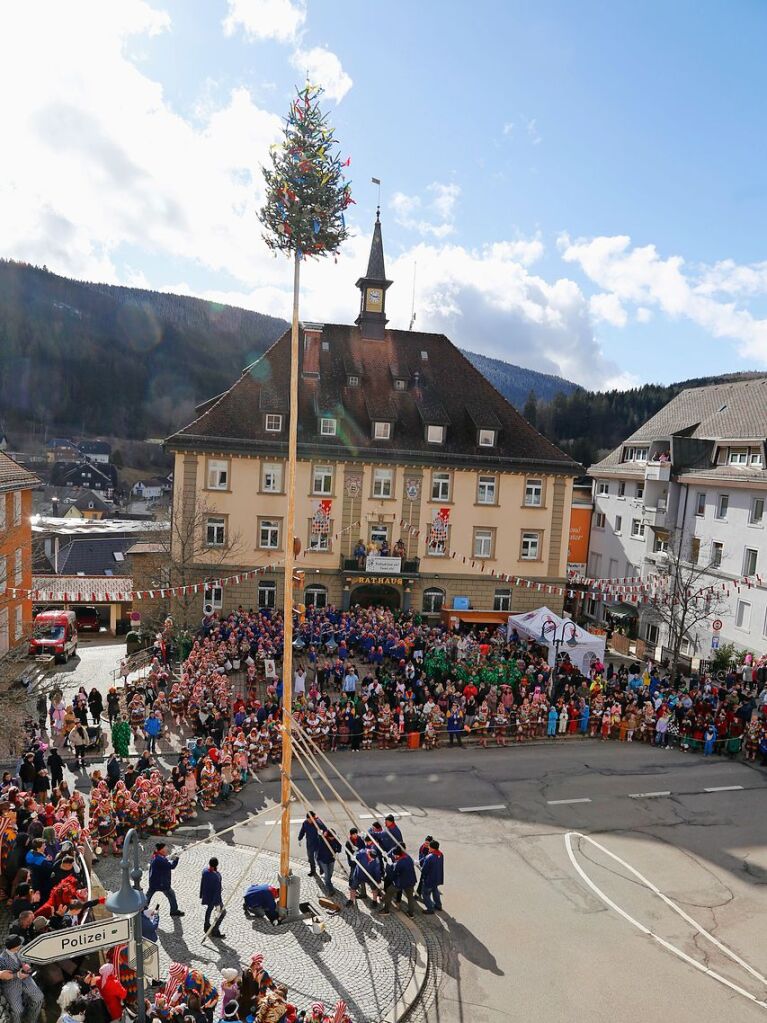 Jetzt steht er: Mit Hilfe des Bauhofs wurde in Neustadt der Narrenbaum aufgestellt.