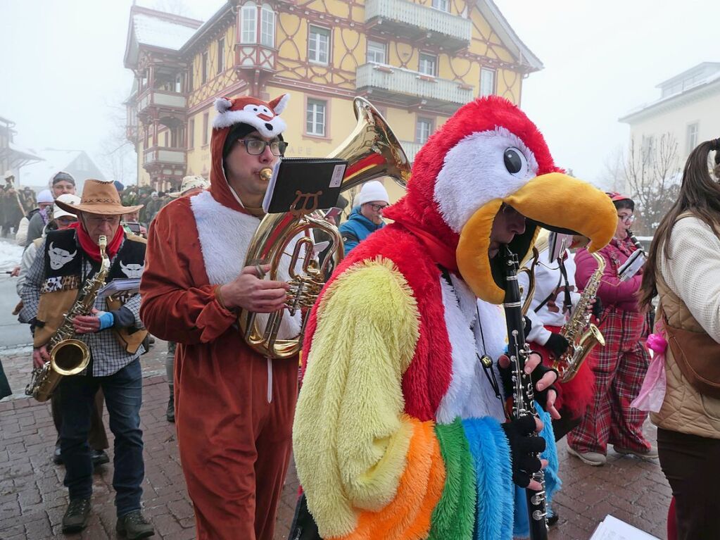 Winterliche Temperaturen schreckten auch die Papageien in St. Mrgen nicht.