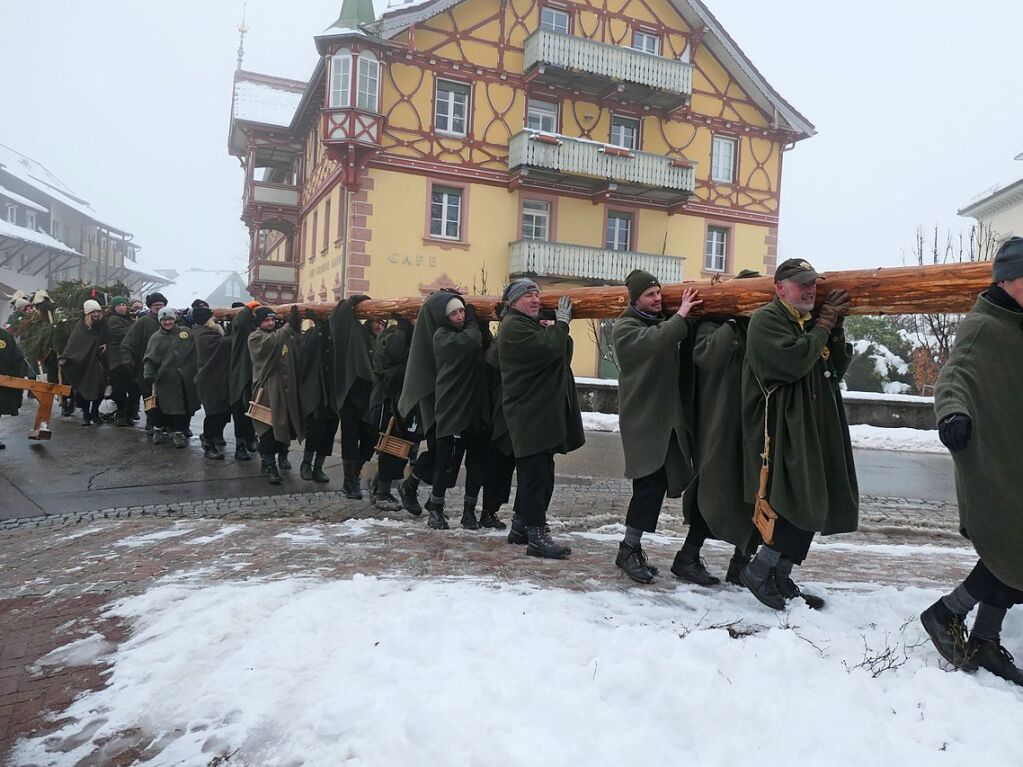 Vereinte Muskelkraft war beim Baumstellen in St. Mrgen gefragt.