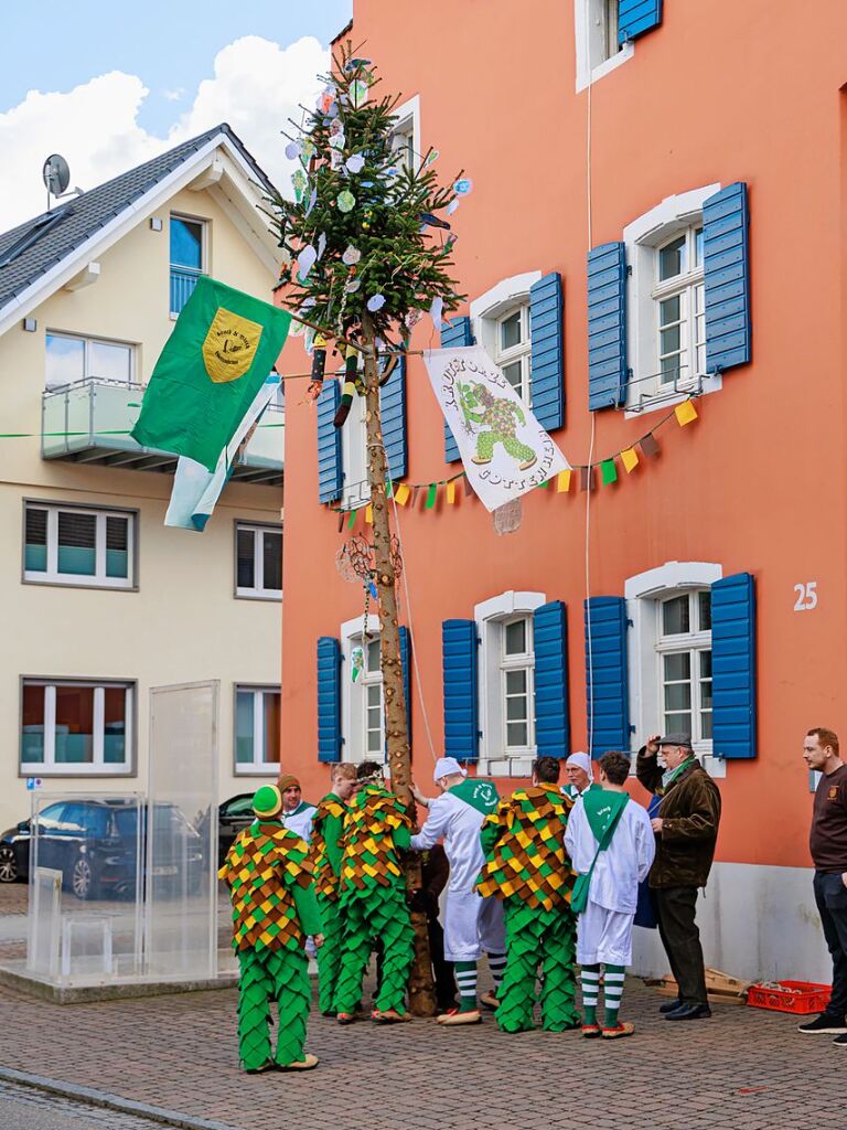 Gottenheim: Der Narrenbaum wird vor dem Rathaus aufgestellt und ist Mahnmal fr die Machtergreifung der Narren.