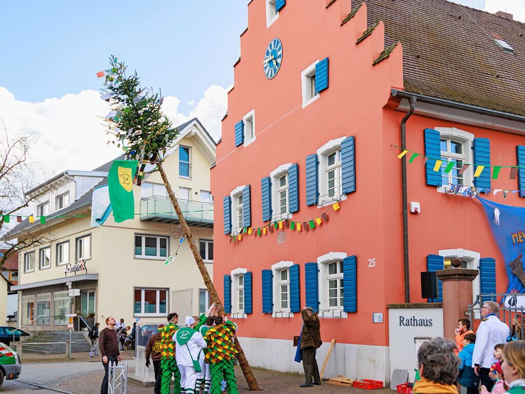 Gottenheim: Der Narrenbaum wird vor dem Rathaus aufgestellt und ist Mahnmal fr die Machtergreifung der Narren.