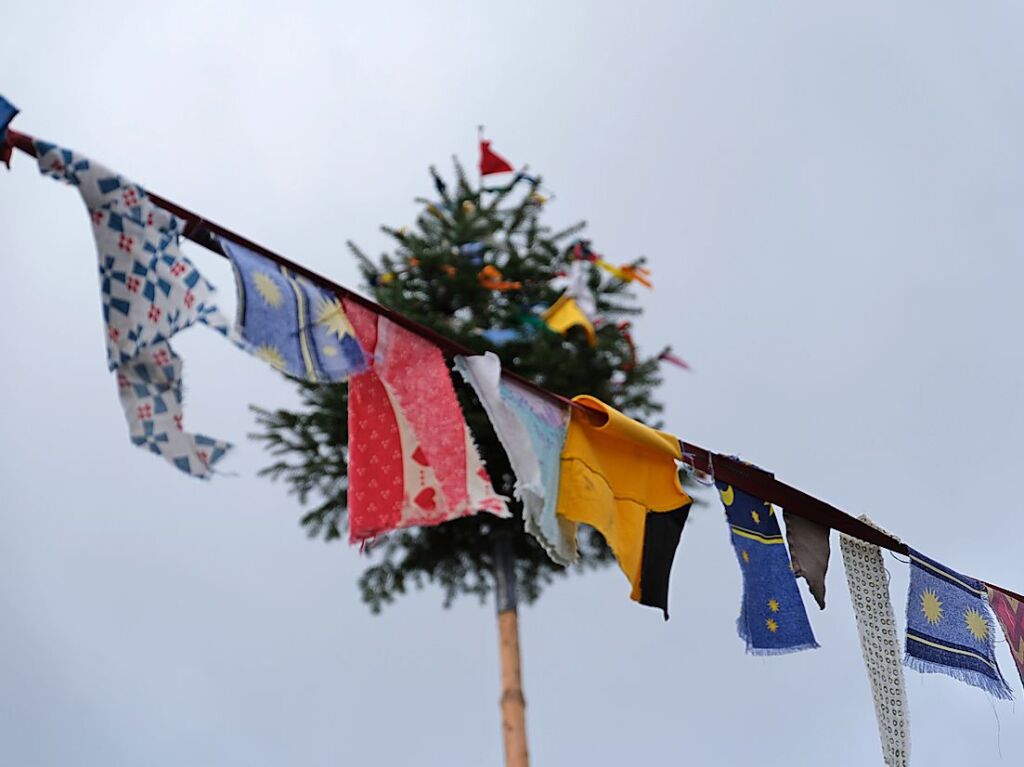 Der Narrenbaum ziert das Gallushaus in Wittnau.