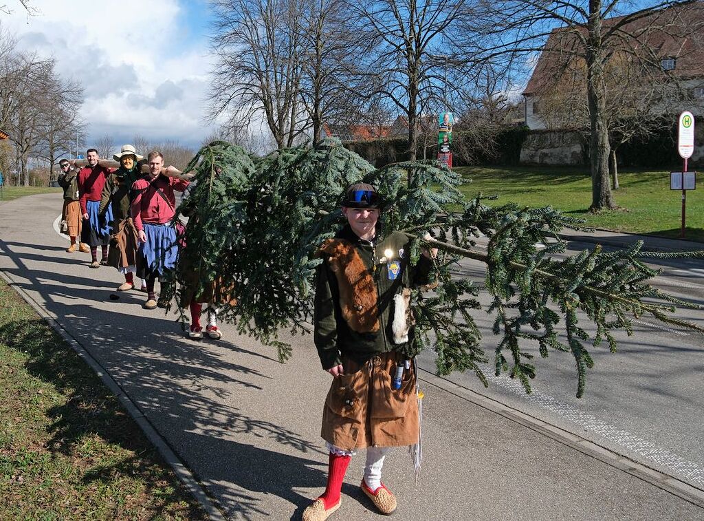 Der Narrenbaum wird in Slden zum Rathaus gebracht.