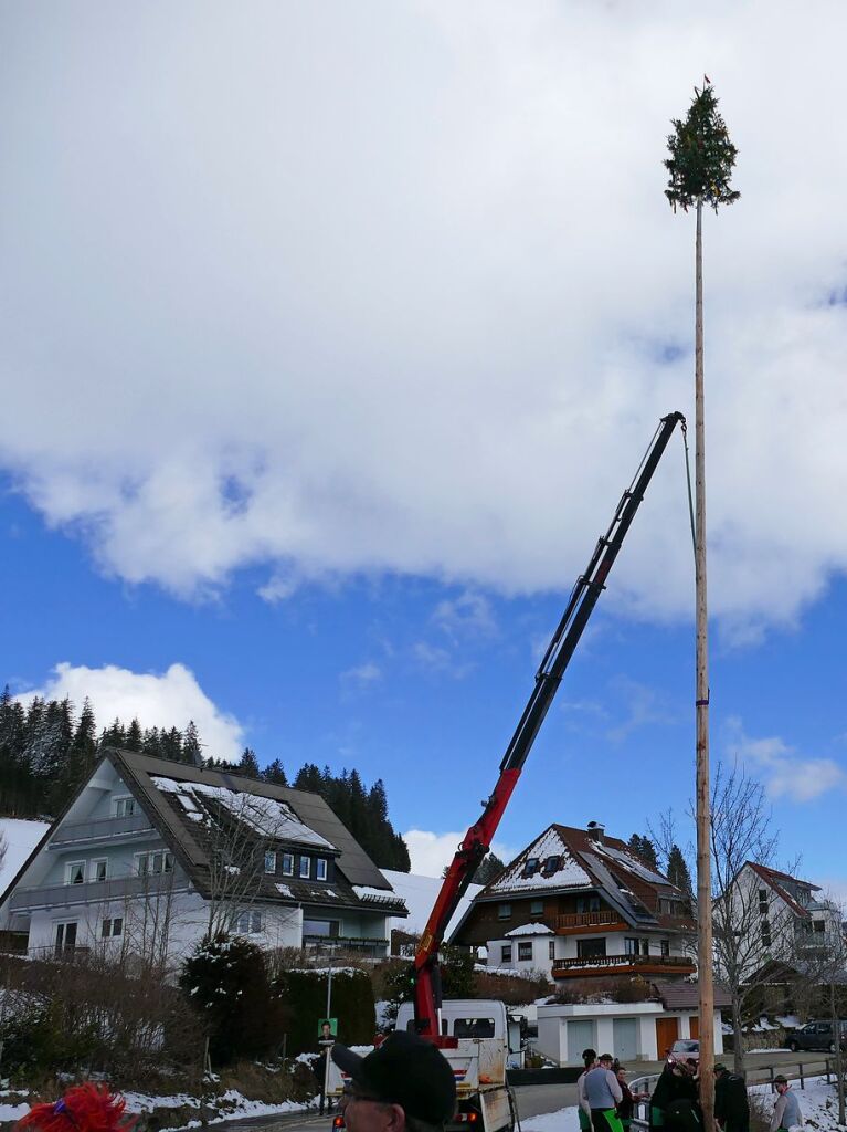 Kerzengerade steht der Narrenbaum nach krzester Zeit.