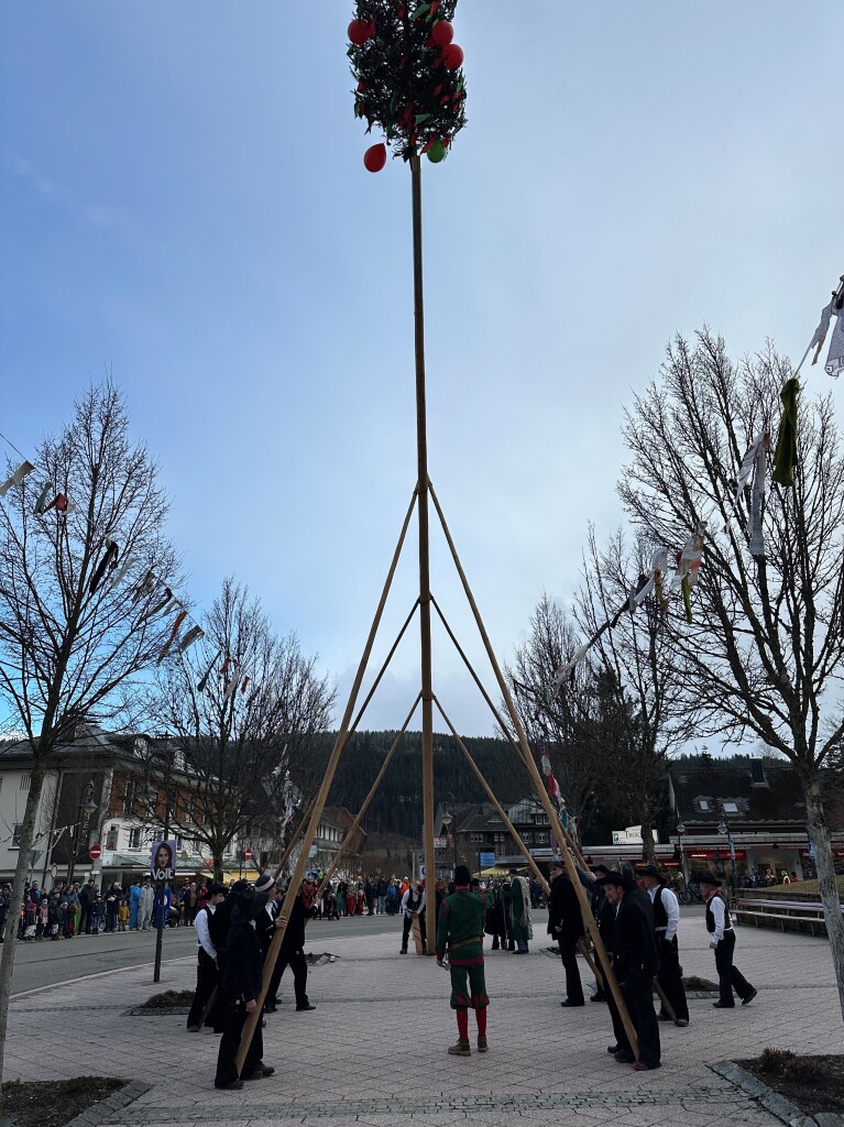 Zimmermnner stellen den Narrenbaum in Titisee