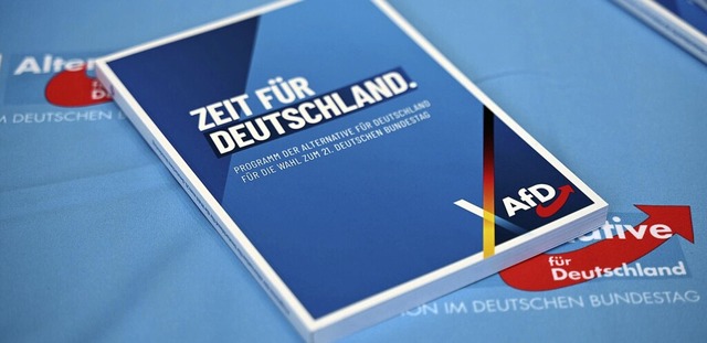 Das Programm der AfD  | Foto: Bernd von Jutrczenka (dpa)