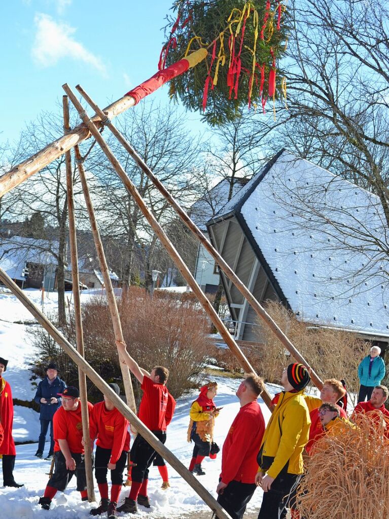 In Bernau wurde der Narrenbaum noch traditionell mit Scheren gestellt.