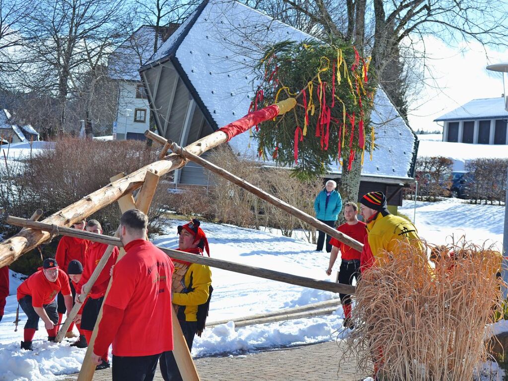 In Bernau wurde der Narrenbaum noch traditionell mit Scheren gestellt.