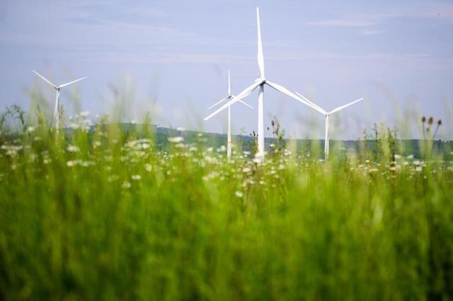 ko-Institut und EWS Schnau kritisieren Windkraft-Auktionsverfahren und liefern Vorschlge