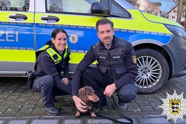 Happy End: Polizei rettet Dackel 