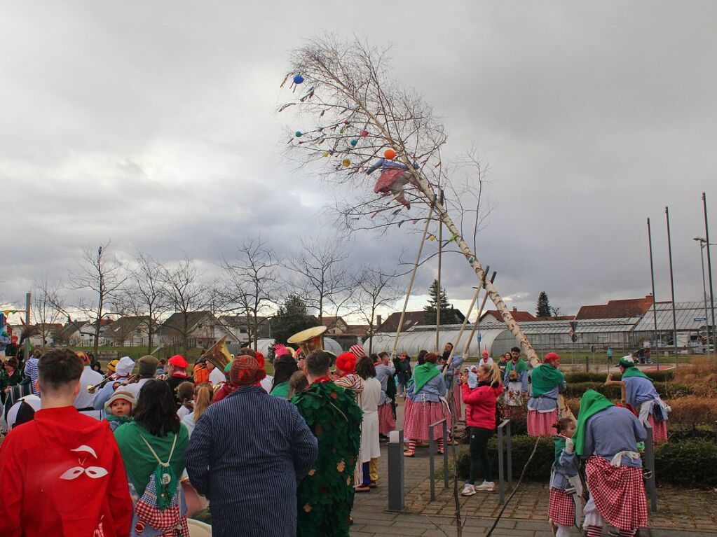 Narrenbaumstellen in Rheinhausen