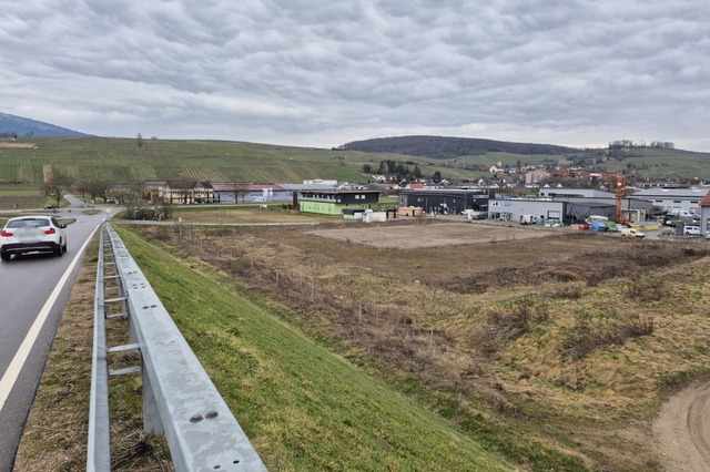 Blick von der Kleinfeldele-Brcke auf ...f dem die Firma Fliegauf bauen wollte.  | Foto: Hannes Selz